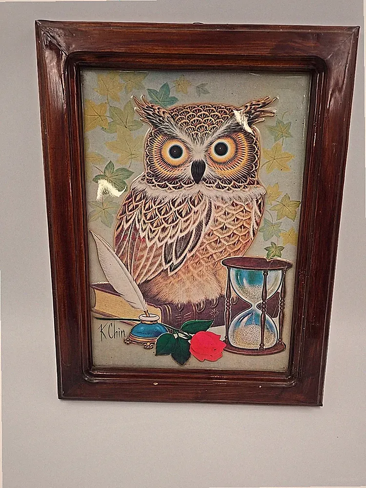 Vintage Owl With Hour Glass Pin & Ink Flowers Raised Framed Picture 14" x 19"
